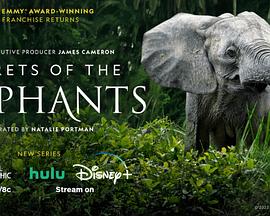 《Secrets of the Elephants Season 1》传奇法战组合pk技巧