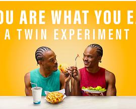 《人如其食：双胞胎饮食实验》传奇4快速85级